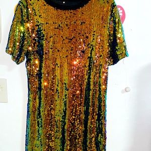 Brand new Glittery Holiday Dress.. A dressy up dress.. Size 2x… Plus size…